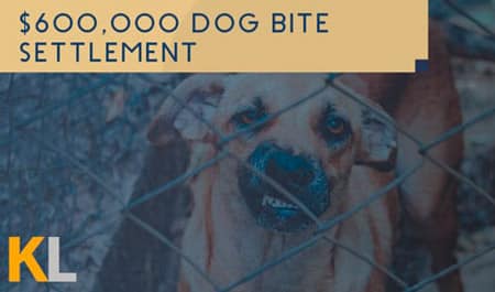 dog-bite-settlement-by-kirakosian-law
