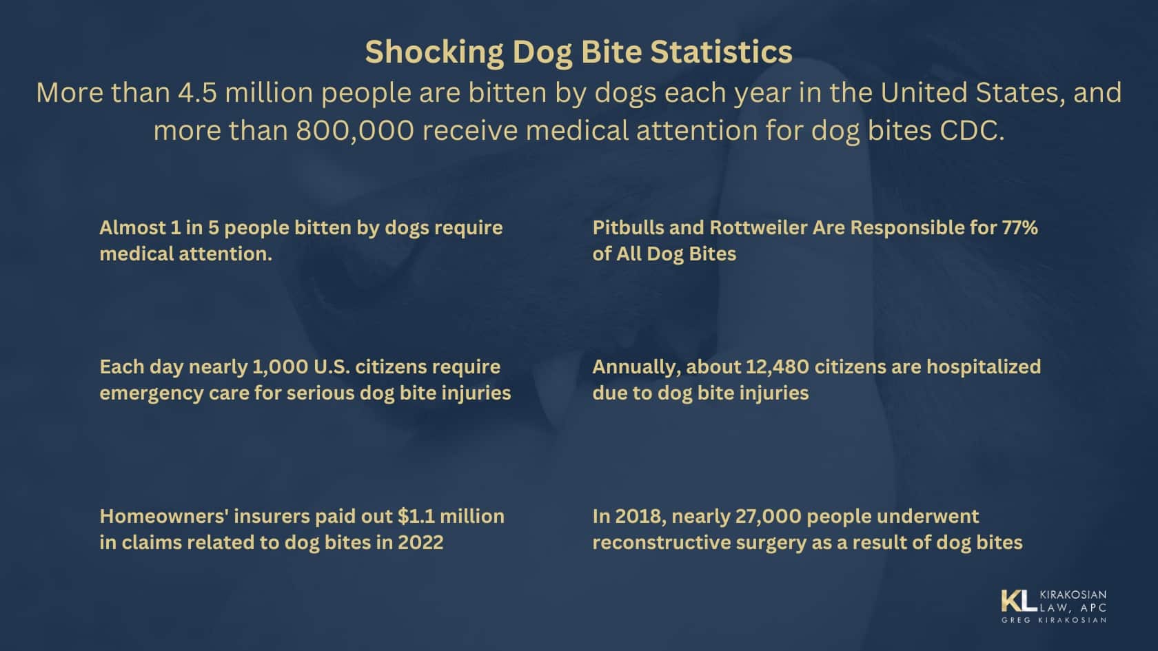 2022 Dog Bite Statistics by U.S. Cities