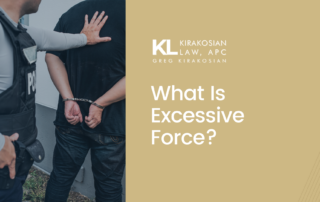 Excessive Force Definition